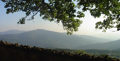 Arnotal 